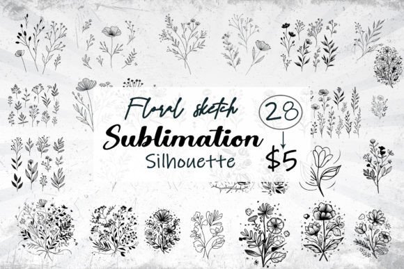 Download Botanical Graphic Floral Sketch Drawing - Botanical Collection