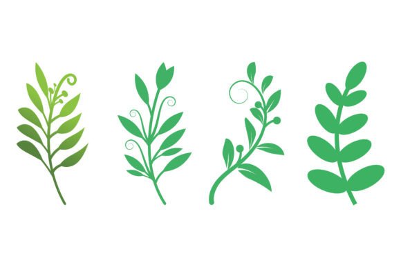 Download Green Leaves Botanical Logos - Botanical Collection