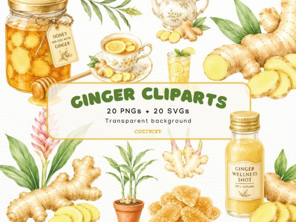 Download Ginger Watercolor Cliparts Botanical PNG - Botanical Collection