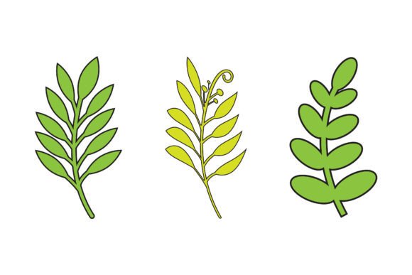 Download Green Leaves Botanical Logos - Botanical Collection