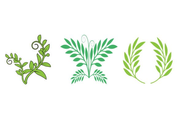 Download Green Leaves Botanical Logos - Botanical Collection