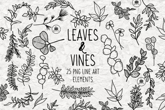 Download Leaves and Vines Line Art Elements - Premium Resources